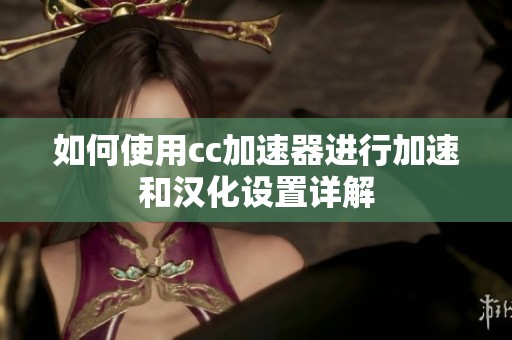 如何使用cc加速器进行加速和汉化设置详解