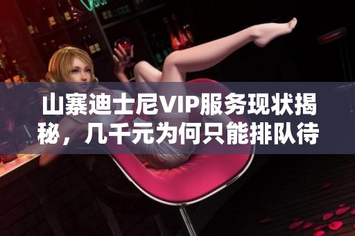 山寨迪士尼VIP服务现状揭秘，几千元为何只能排队待客