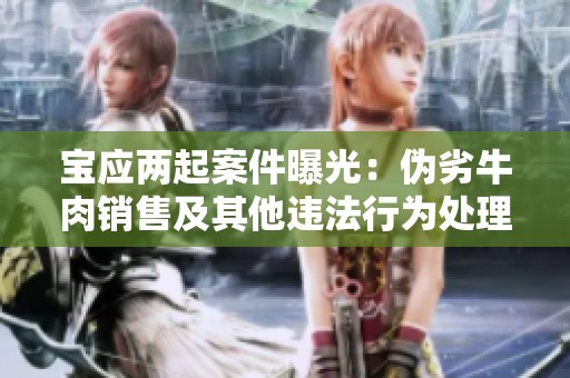 宝应两起案件曝光：伪劣牛肉销售及其他违法行为处理结果