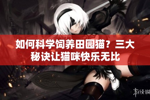如何科学饲养田园猫？三大秘诀让猫咪快乐无比