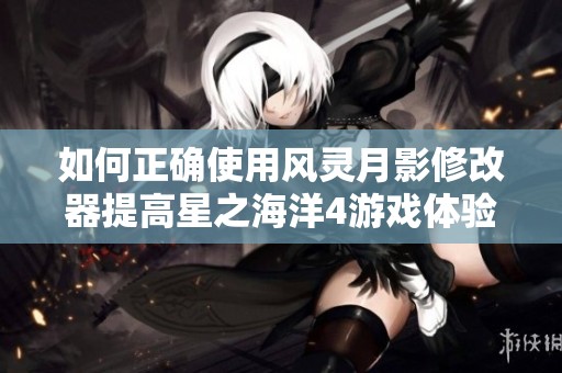 如何正确使用风灵月影修改器提高星之海洋4游戏体验