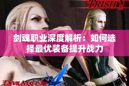 剑魂职业深度解析：如何选择最优装备提升战力