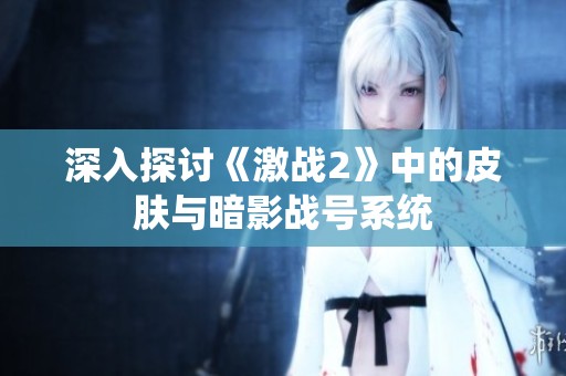 深入探讨《激战2》中的皮肤与暗影战号系统