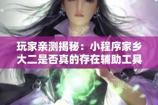 玩家亲测揭秘：小程序家乡大二是否真的存在辅助工具