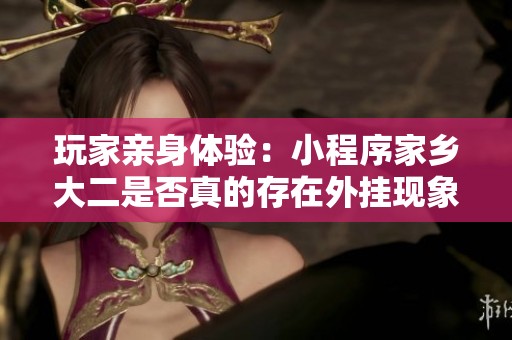 玩家亲身体验：小程序家乡大二是否真的存在外挂现象揭秘
