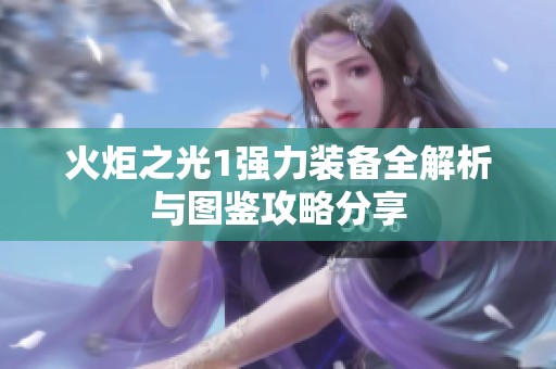 火炬之光1强力装备全解析与图鉴攻略分享