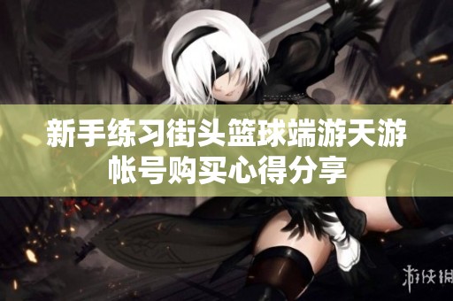 新手练习街头篮球端游天游帐号购买心得分享