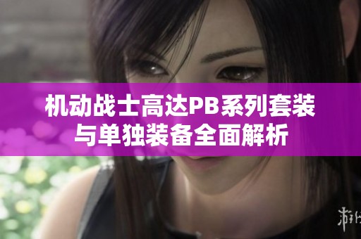 机动战士高达PB系列套装与单独装备全面解析