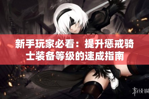 新手玩家必看：提升惩戒骑士装备等级的速成指南