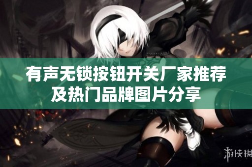 有声无锁按钮开关厂家推荐及热门品牌图片分享