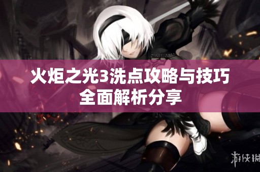 火炬之光3洗点攻略与技巧全面解析分享