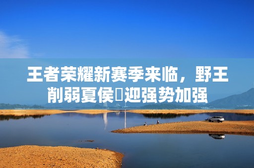 王者荣耀新赛季来临，野王削弱夏侯惇迎强势加强