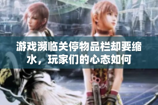 游戏濒临关停物品栏却要缩水，玩家们的心态如何