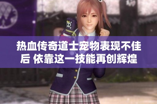 热血传奇道士宠物表现不佳后 依靠这一技能再创辉煌