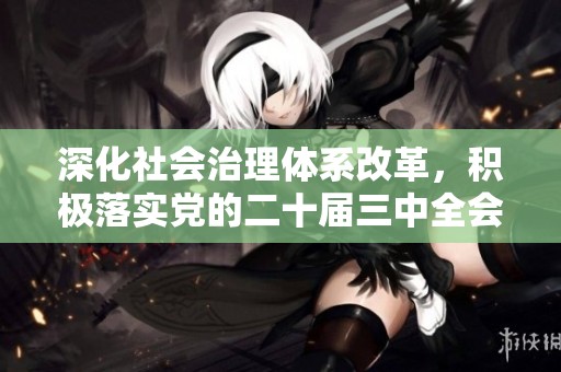 深化社会治理体系改革，积极落实党的二十届三中全会精神