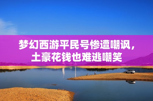 梦幻西游平民号惨遭嘲讽，土豪花钱也难逃嘲笑