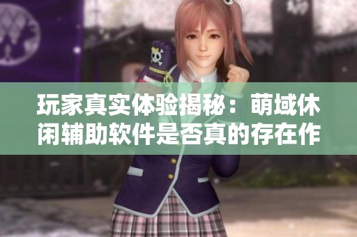 玩家真实体验揭秘：萌域休闲辅助软件是否真的存在作弊？