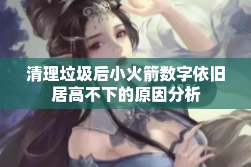 清理垃圾后小火箭数字依旧居高不下的原因分析