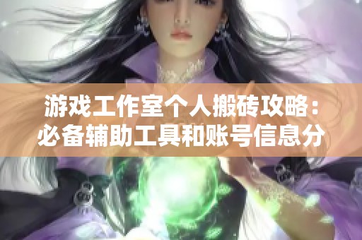 游戏工作室个人搬砖攻略：必备辅助工具和账号信息分享