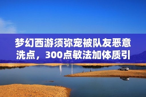 梦幻西游须弥宠被队友恶意洗点，300点敏法加体质引发争议