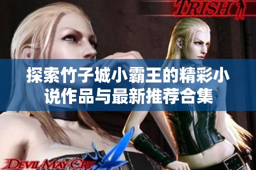 探索竹子城小霸王的精彩小说作品与最新推荐合集