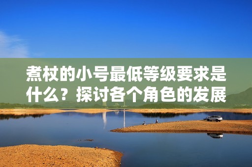 煮杖的小号最低等级要求是什么？探讨各个角色的发展之路