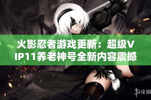 火影忍者游戏更新：超级VIP11养老神号全新内容震撼上线！