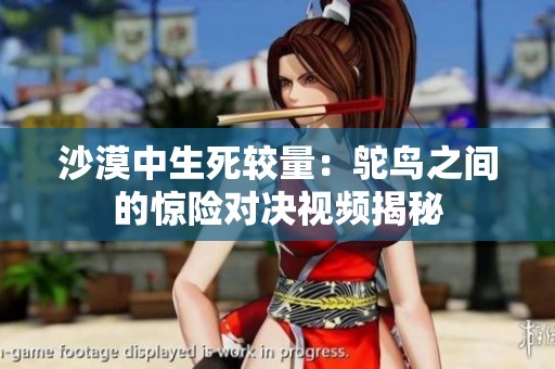 沙漠中生死较量：鸵鸟之间的惊险对决视频揭秘