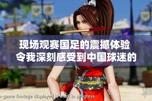 现场观赛国足的震撼体验 令我深刻感受到中国球迷的热情