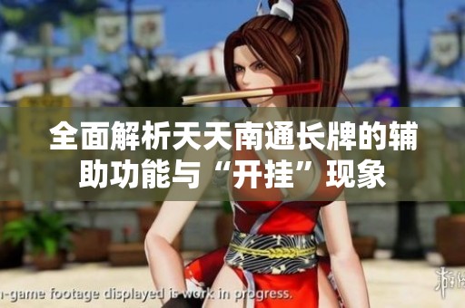 全面解析天天南通长牌的辅助功能与“开挂”现象