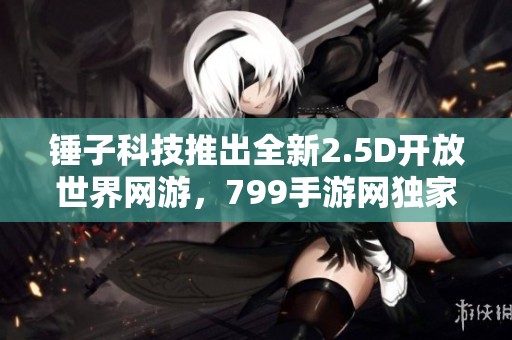 锤子科技推出全新2.5D开放世界网游，799手游网独家解析