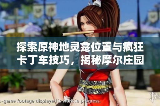 探索原神地灵龛位置与疯狂卡丁车技巧，揭秘摩尔庄园建筑师与洛克王国多元进攻略