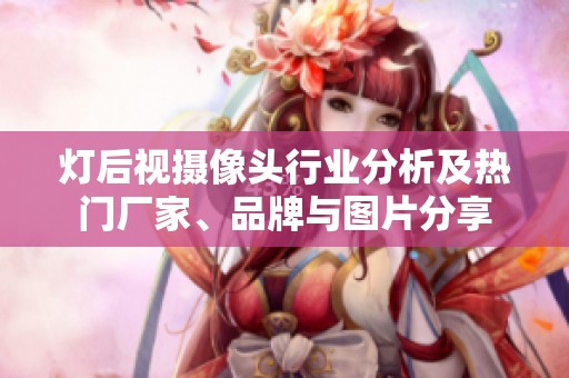 灯后视摄像头行业分析及热门厂家、品牌与图片分享