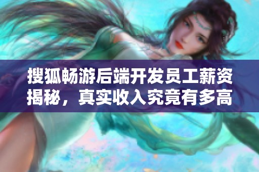 搜狐畅游后端开发员工薪资揭秘，真实收入究竟有多高