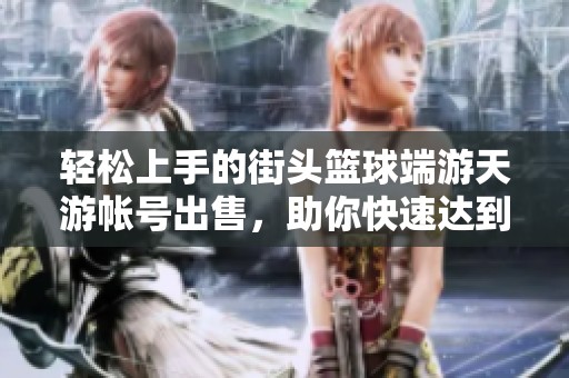 轻松上手的街头篮球端游天游帐号出售，助你快速达到50级！