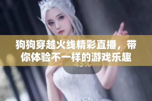 狗狗穿越火线精彩直播，带你体验不一样的游戏乐趣