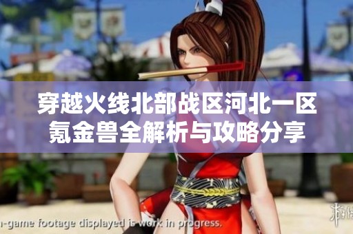 穿越火线北部战区河北一区氪金兽全解析与攻略分享