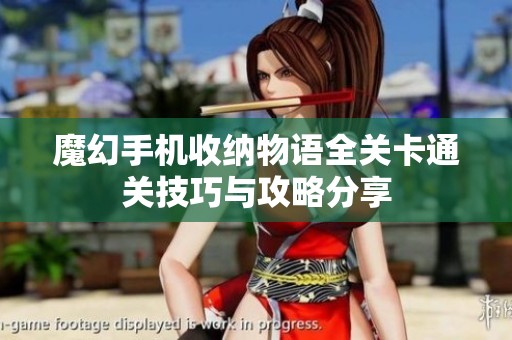 魔幻手机收纳物语全关卡通关技巧与攻略分享