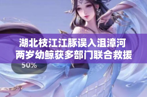湖北枝江江豚误入沮漳河 两岁幼鲸获多部门联合救援