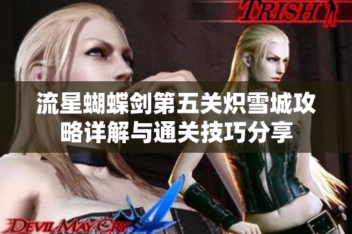流星蝴蝶剑第五关炽雪城攻略详解与通关技巧分享