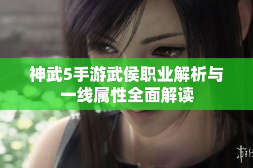 神武5手游武侯职业解析与一线属性全面解读