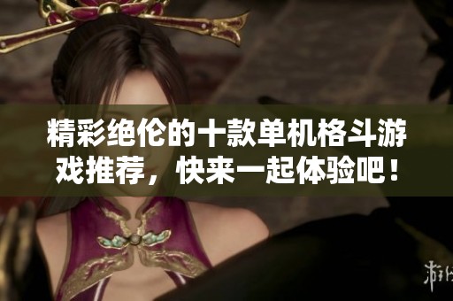 精彩绝伦的十款单机格斗游戏推荐，快来一起体验吧！