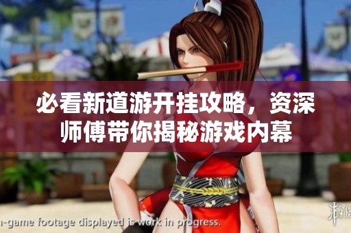 必看新道游开挂攻略，资深师傅带你揭秘游戏内幕