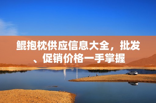 鲲抱枕供应信息大全，批发、促销价格一手掌握