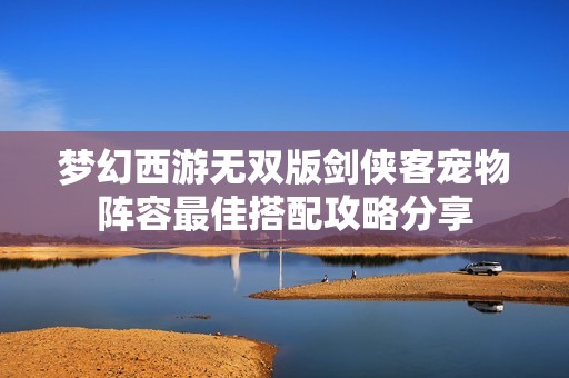 梦幻西游无双版剑侠客宠物阵容最佳搭配攻略分享