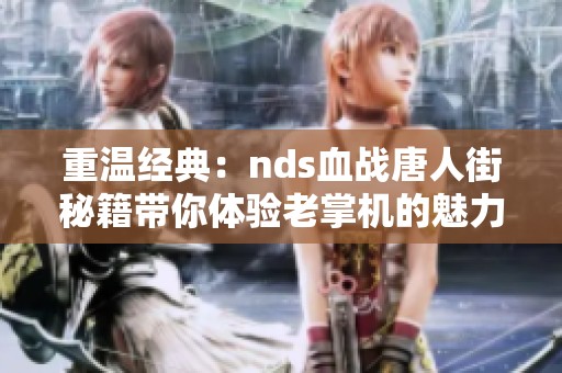 重温经典：nds血战唐人街秘籍带你体验老掌机的魅力