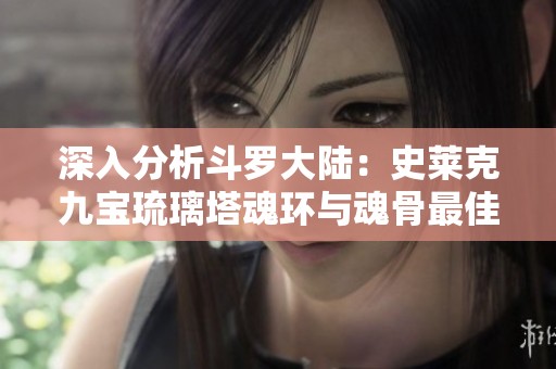 深入分析斗罗大陆：史莱克九宝琉璃塔魂环与魂骨最佳搭配策略揭秘