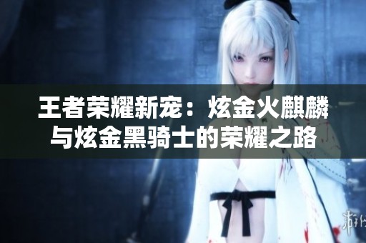 王者荣耀新宠：炫金火麒麟与炫金黑骑士的荣耀之路