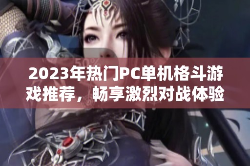 2023年热门PC单机格斗游戏推荐，畅享激烈对战体验